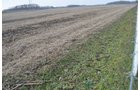 Property photo 19 - 98+/- Acres Offered in 6 Tracts or Combinations, Noble County, Indiana Farm